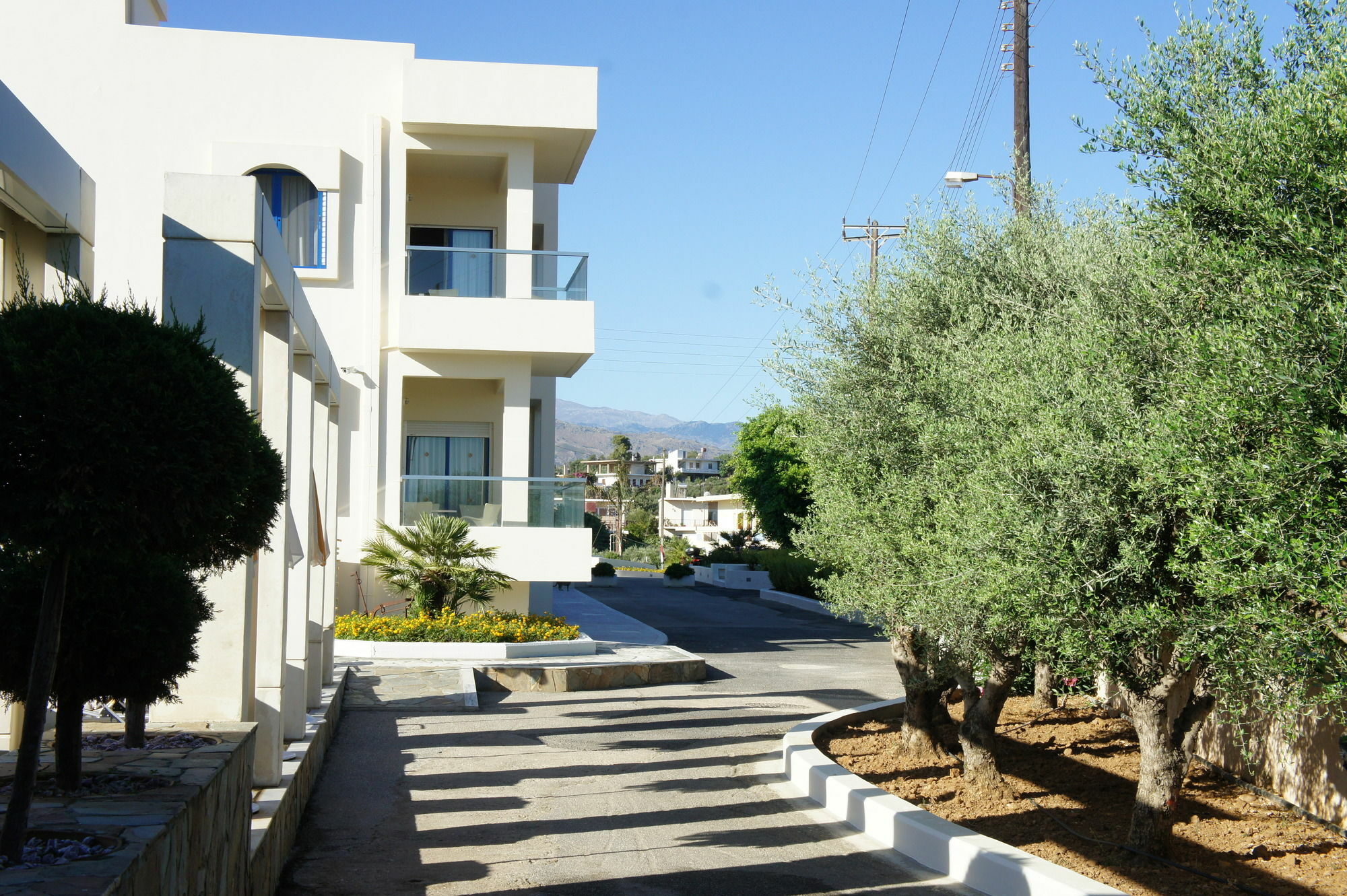 Κέδρισος Hotel Χανιά Εξωτερικό φωτογραφία